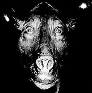 Meet your Posher, Crazy kermit69